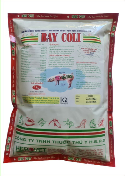 Bay Coli